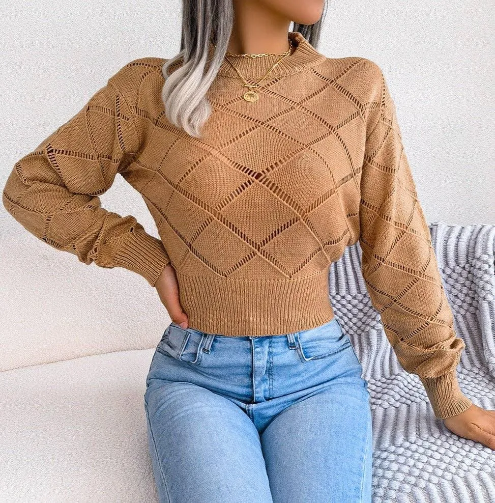 Solid Color Hollow Out Close Crop Knit Sweater 2035
